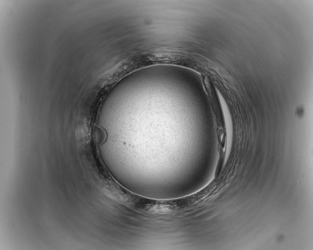 X0000099500751200805221400