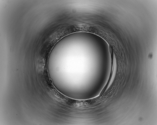 X0000099500752200805221400