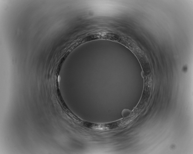 X0000099500754200805221400