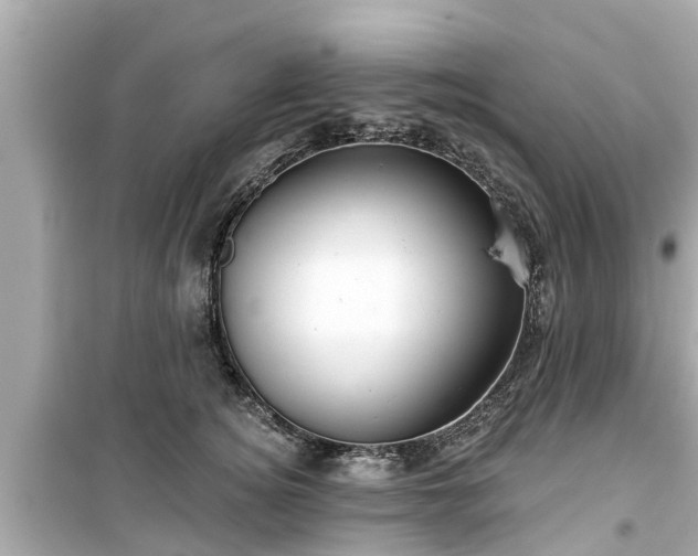 X0000099500756200805221400