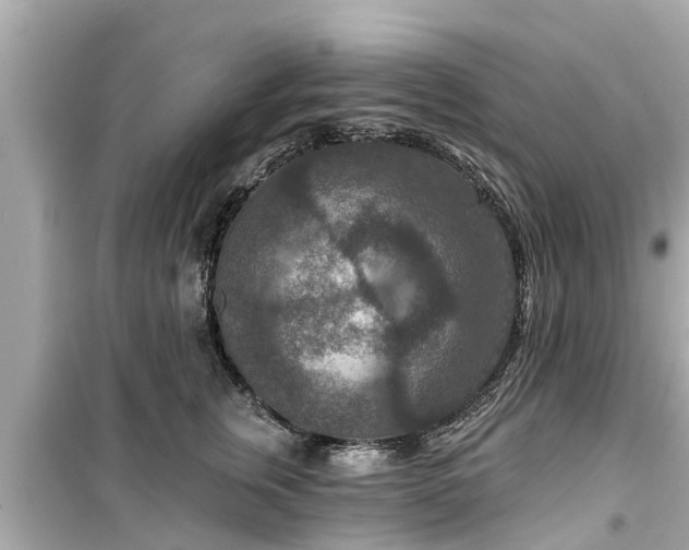 X0000099500759200805221400