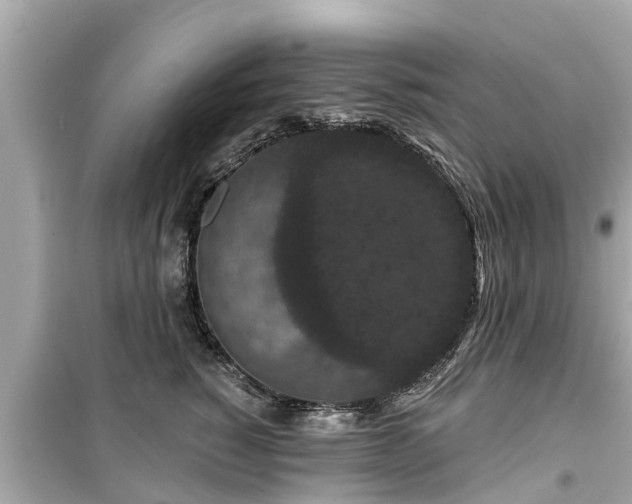 X0000099500760200805221400