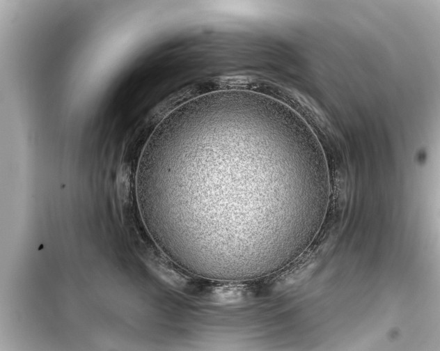 X0000099500761200805221400