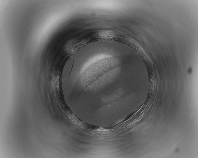 X0000099500762200805221400