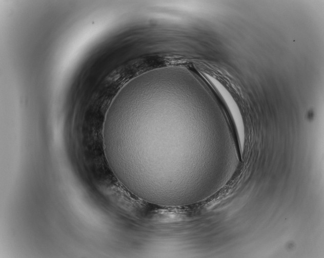 X0000099500763200805221400