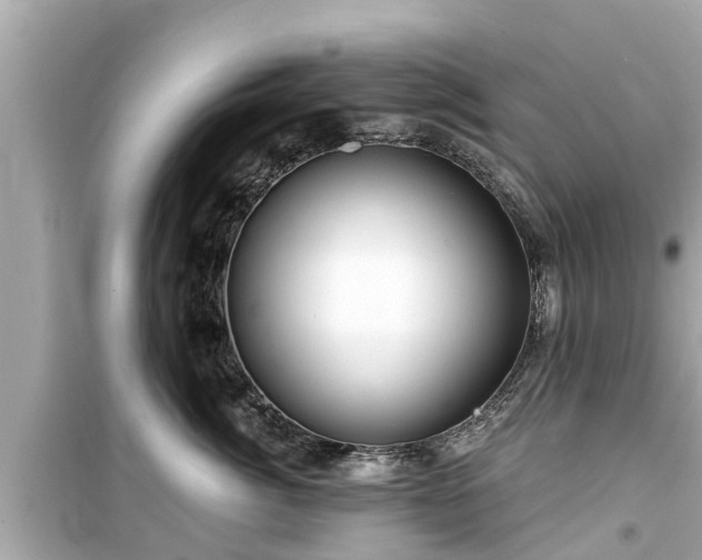 X0000099500764200805221400