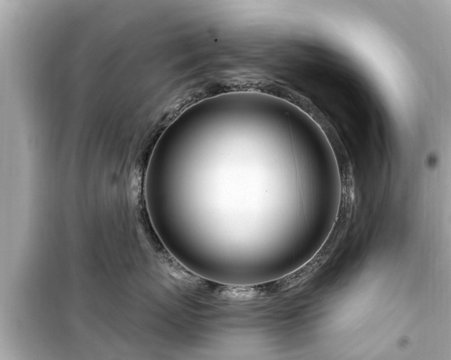 X0000099500767200805221400