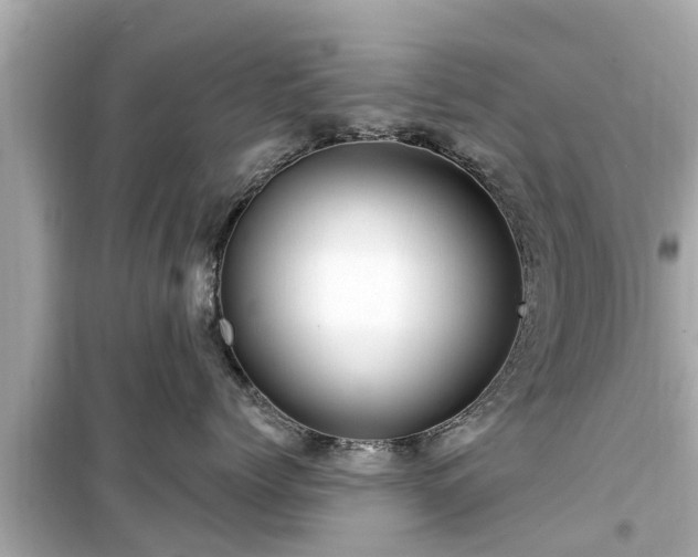 X0000099500768200805221400