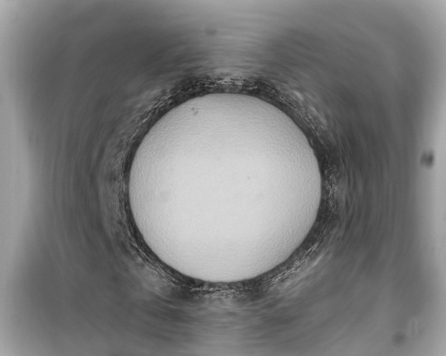 X0000099500769200805221400