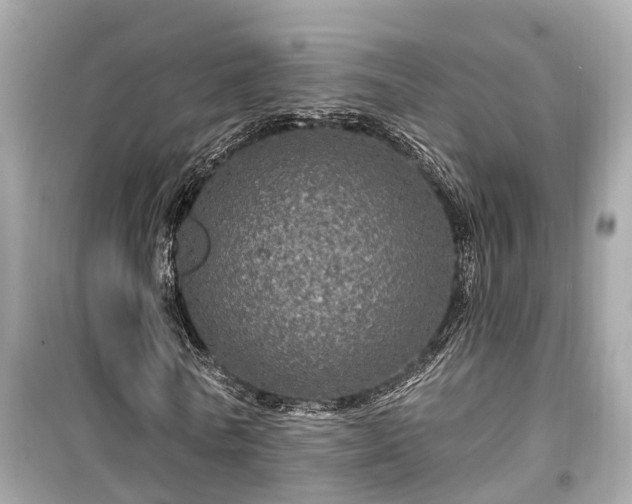 X0000099500770200805221400