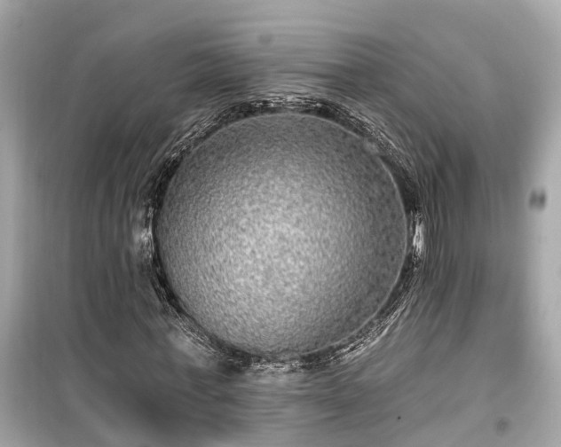 X0000099500771200805221400