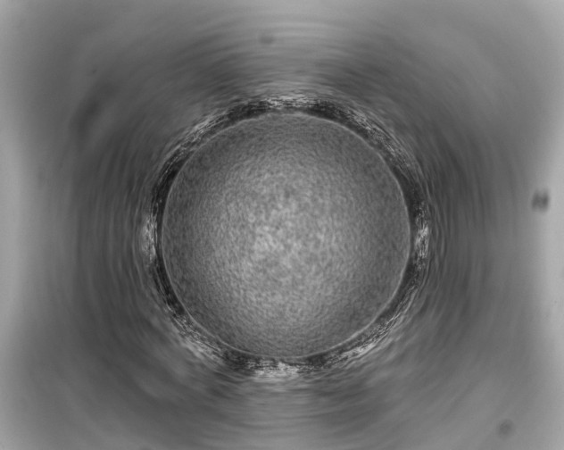 X0000099500772200805221400