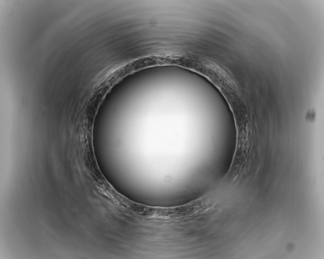 X0000099500773200805221400