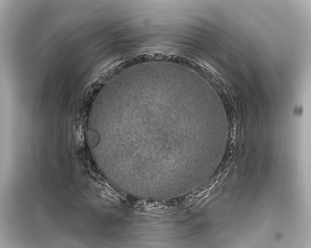 X0000099500774200805221400