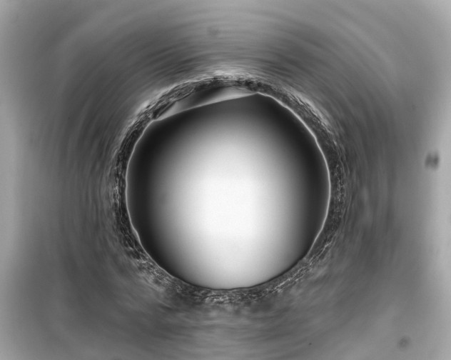 X0000099500776200805221400