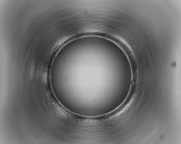 X0000099500777200805221400