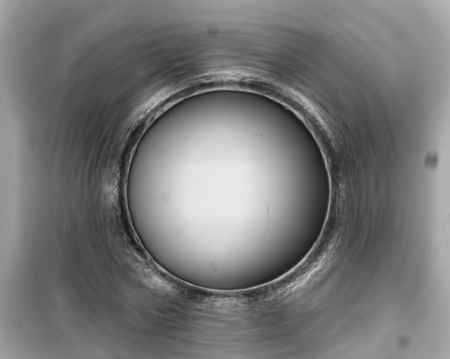 X0000099500778200805221400