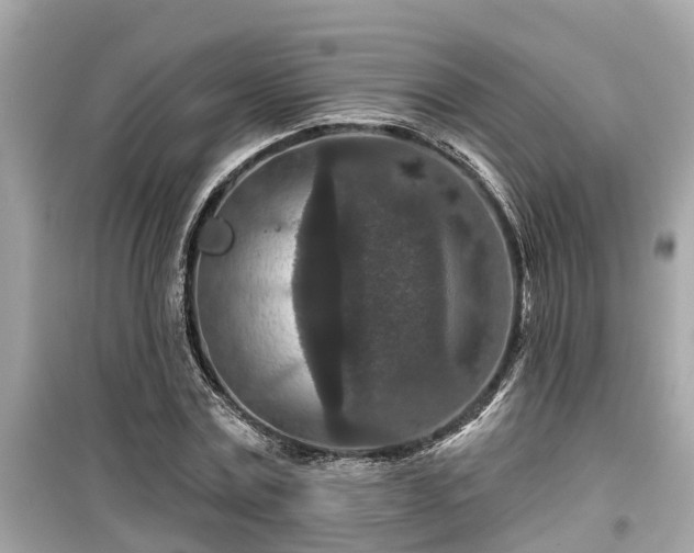 X0000099500779200805221400