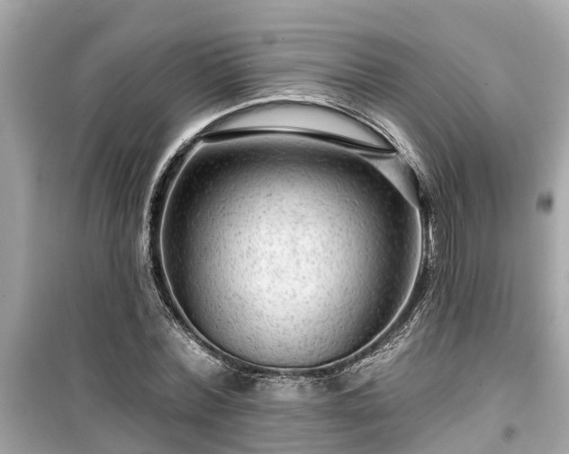 X0000099500780200805221359