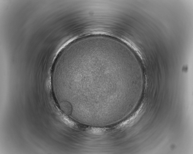 X0000099500782200805221359