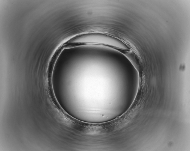 X0000099500784200805221359