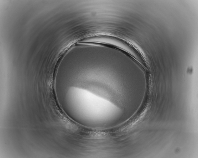 X0000099500785200805221359