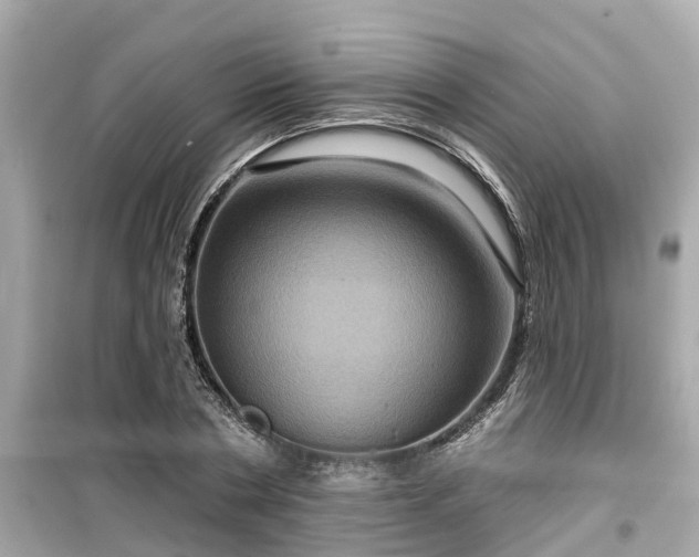X0000099500786200805221359