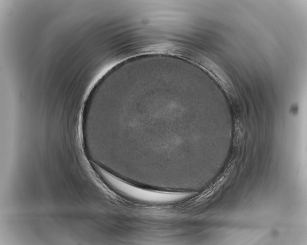 X0000099500788200805221359