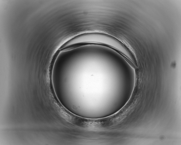 X0000099500789200805221359