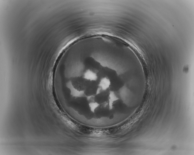 X0000099500790200805221359