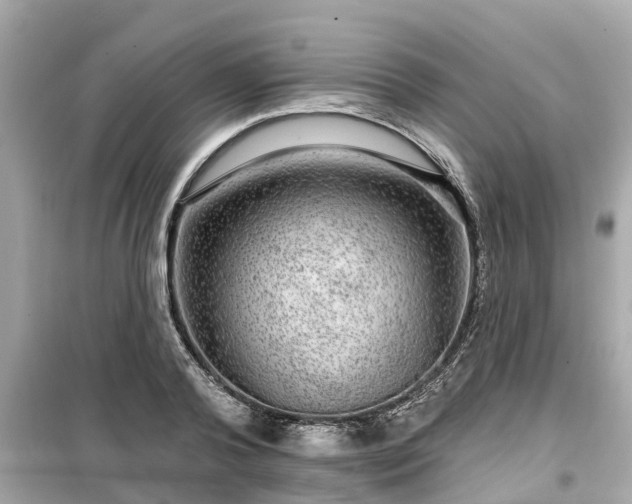 X0000099500792200805221359