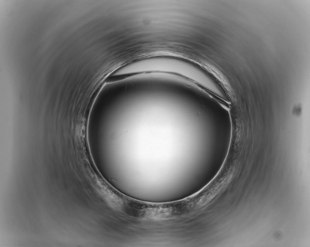 X0000099500793200805221359