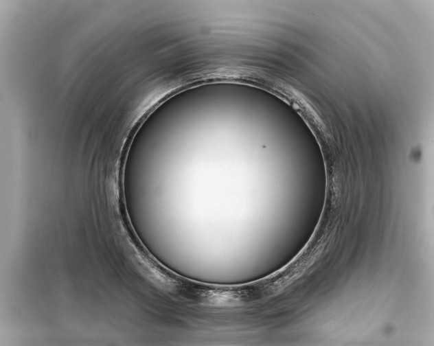 X0000099500794200805221359