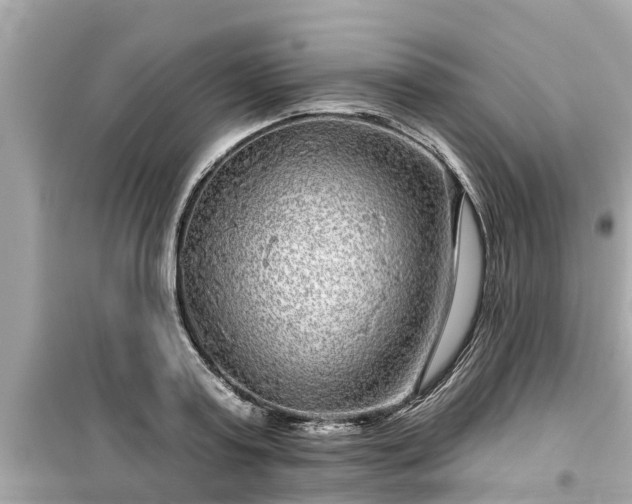 X0000099500795200805221359