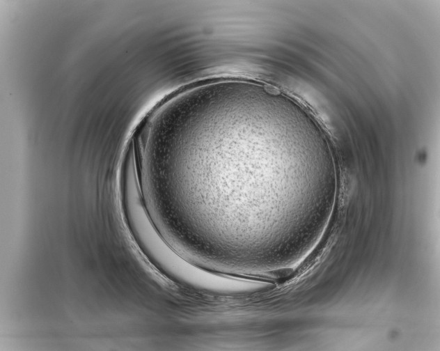 X0000099500796200805221359