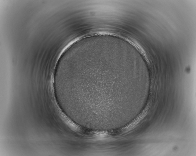 X0000099500798200805221359