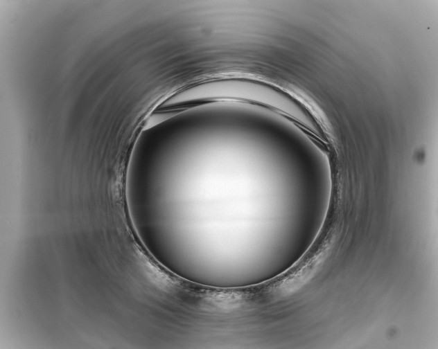 X0000099500801200805221359