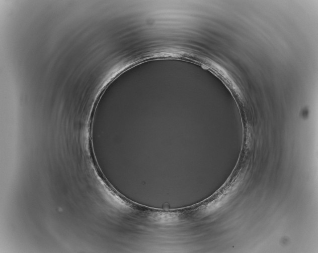 X0000099500802200805221359