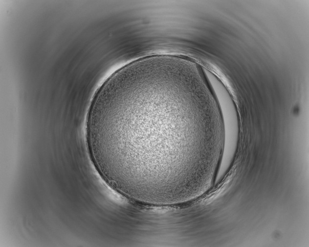 X0000099500803200805221359