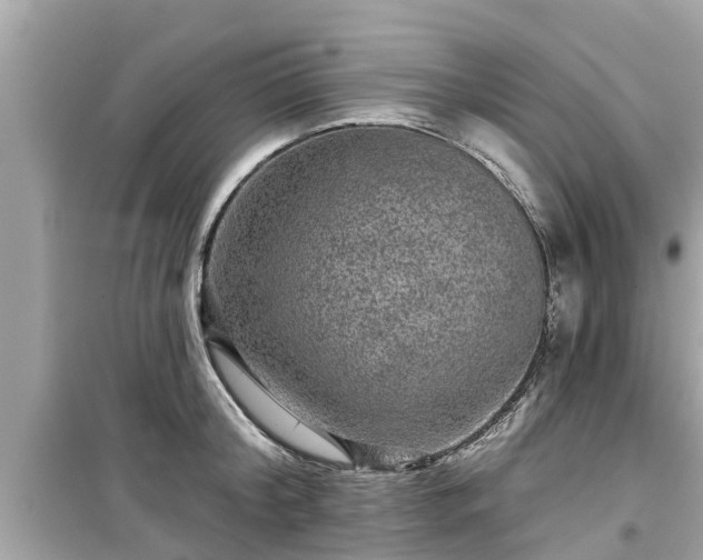 X0000099500804200805221359