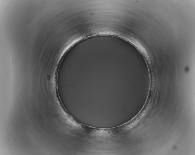 X0000099500806200805221359