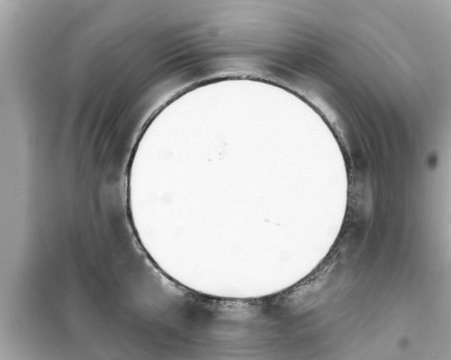X0000099500807200805221359