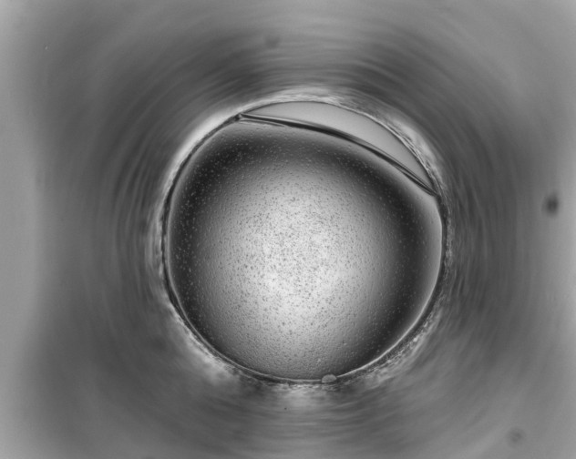 X0000099500808200805221359
