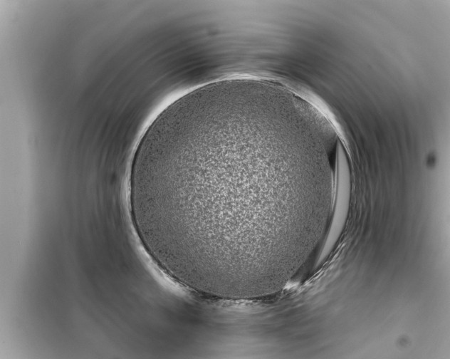 X0000099500811200805221359