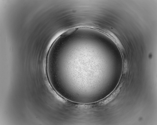 X0000099500812200805221359