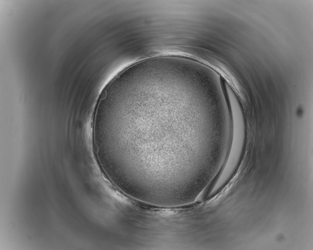 X0000099500814200805221359