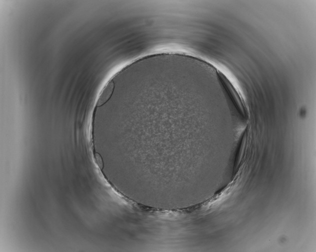 X0000099500815200805221359
