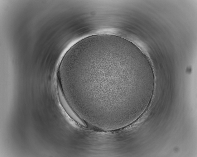 X0000099500816200805221359