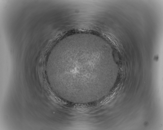 X0000099500817200805221358
