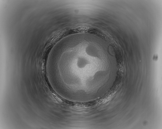 X0000099500818200805221358